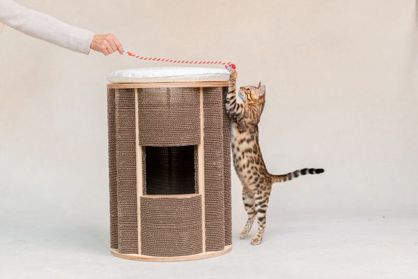Sustainable cat furniture by SØDE Design